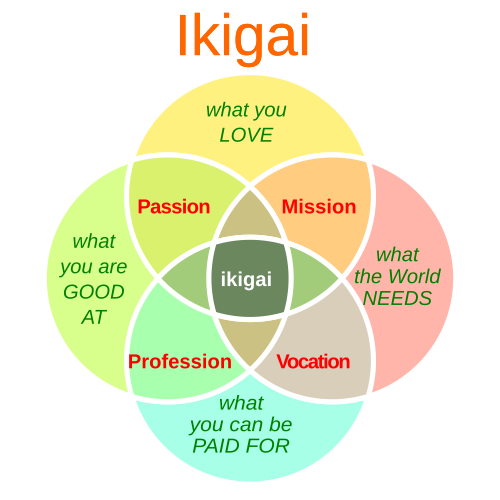 Ikigai - find strengths